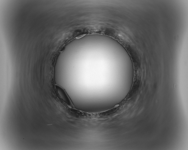 X0000086740961200704271647