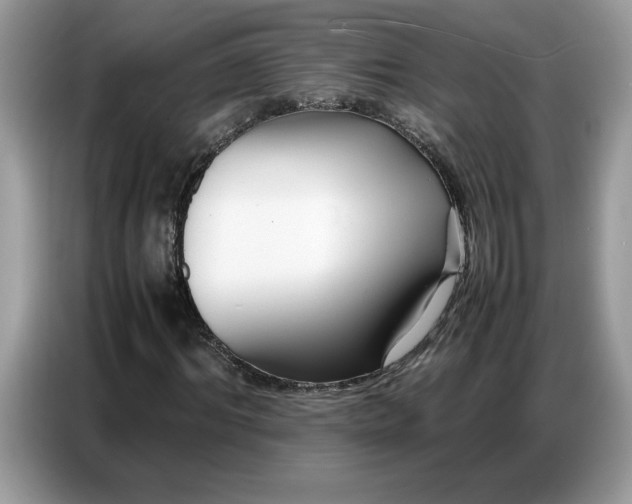 X0000086740964200704271647