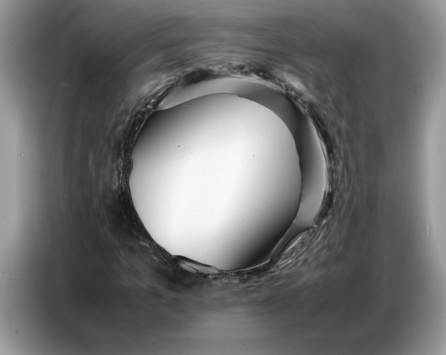 X0000086740965200704271647