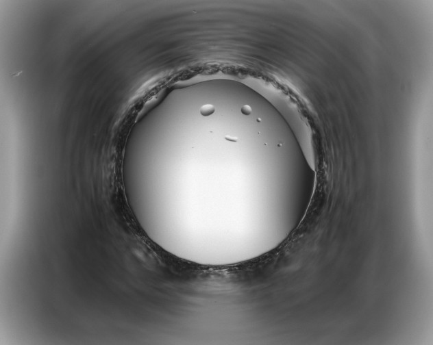 X0000086740968200704271647