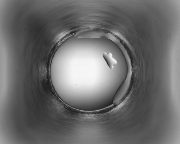 X0000086740969200704271647