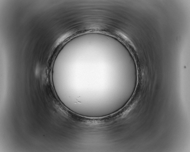 X0000086740970200704271647