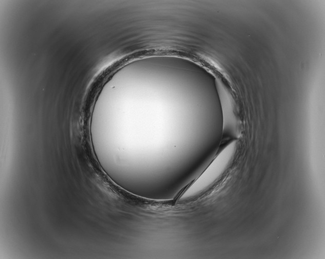 X0000086740971200704271647