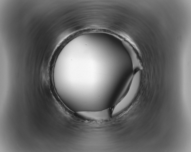 X0000086740972200704271647