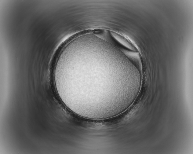 X0000086740975200704271647