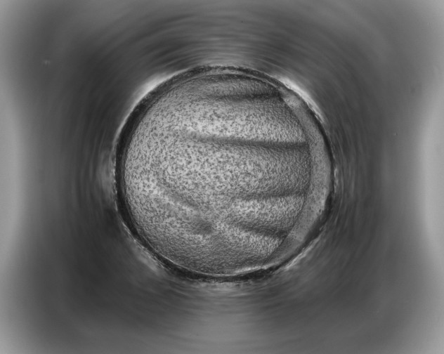 X0000086740976200704271647