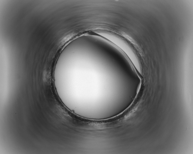 X0000086740977200704271647