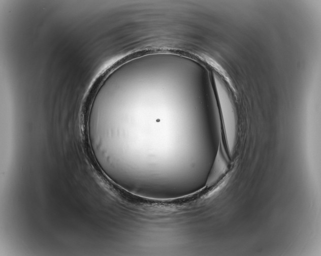 X0000086740981200704271647