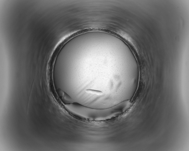 X0000086740983200704271647