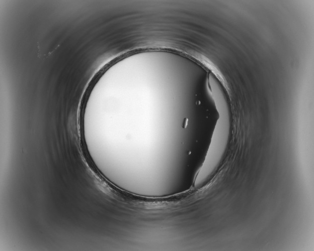 X0000086740988200704271647