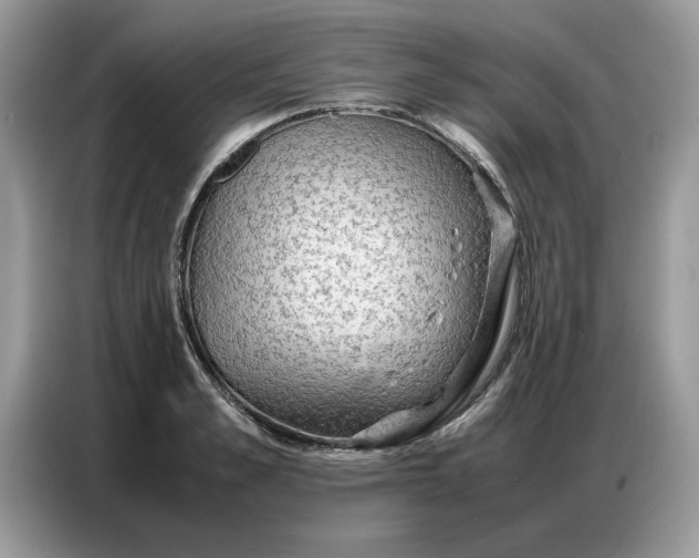 X0000086740989200704271647