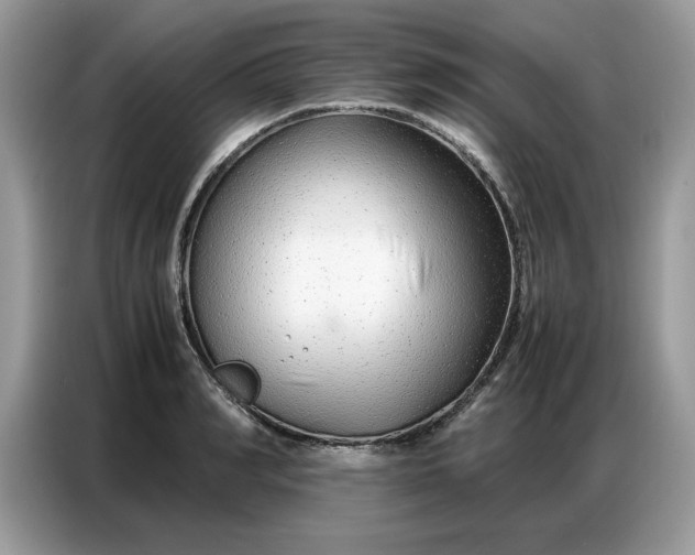 X0000086740990200704271647