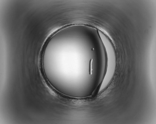 X0000086740991200704271647