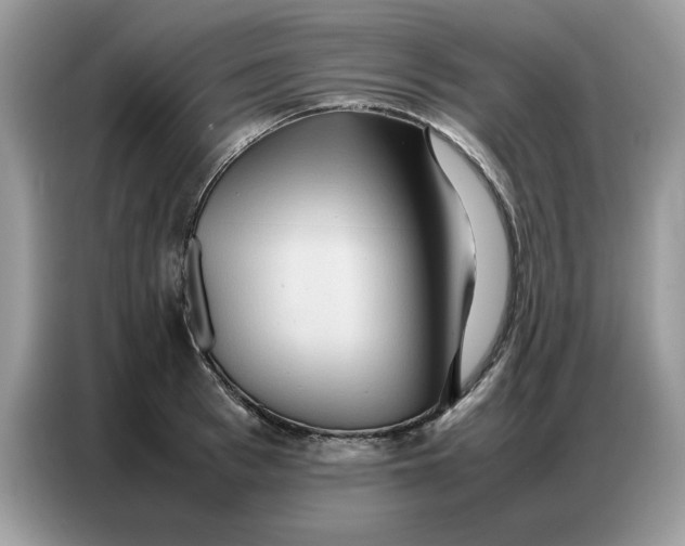 X0000086740993200704271647