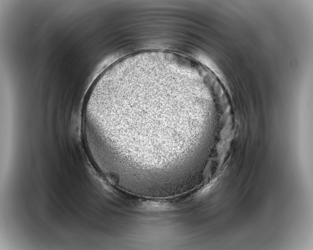 X0000086740994200704271647