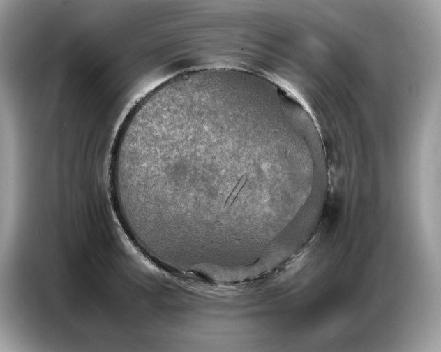 X0000086740995200704271647