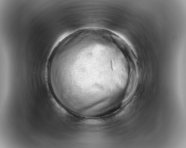 X0000086740998200704271647