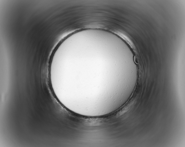 X0000086741000200704271647