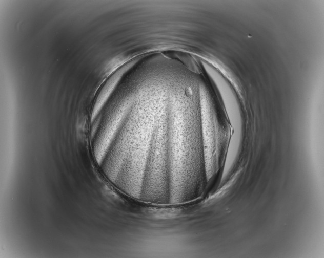 X0000086741001200704271647