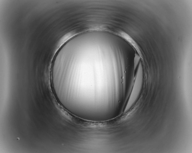 X0000086741002200704271647