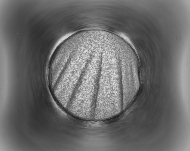 X0000086741003200704271647