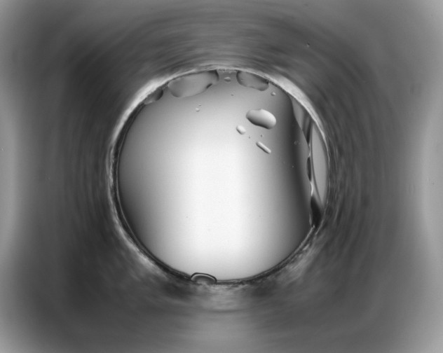 X0000086741005200704271647