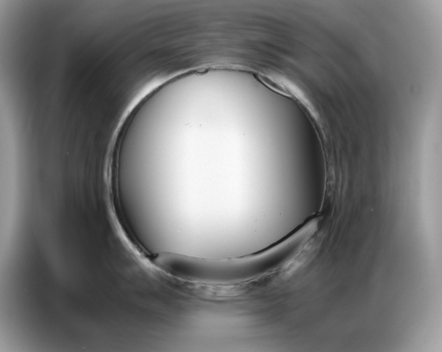 X0000086741007200704271646