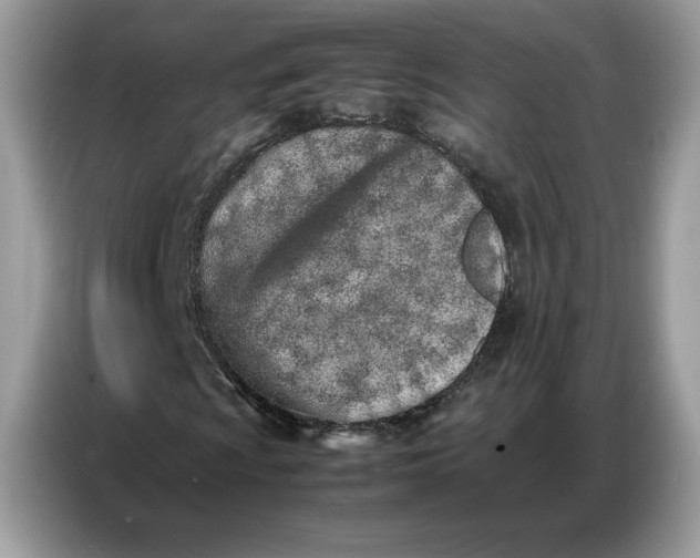 X0000086741009200704271646