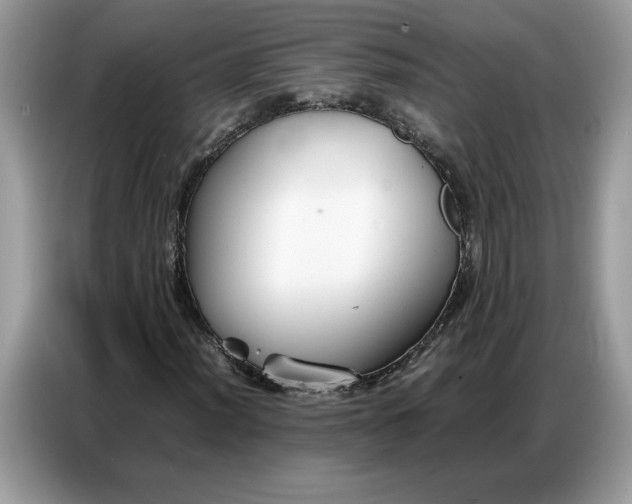 X0000086741012200704271646