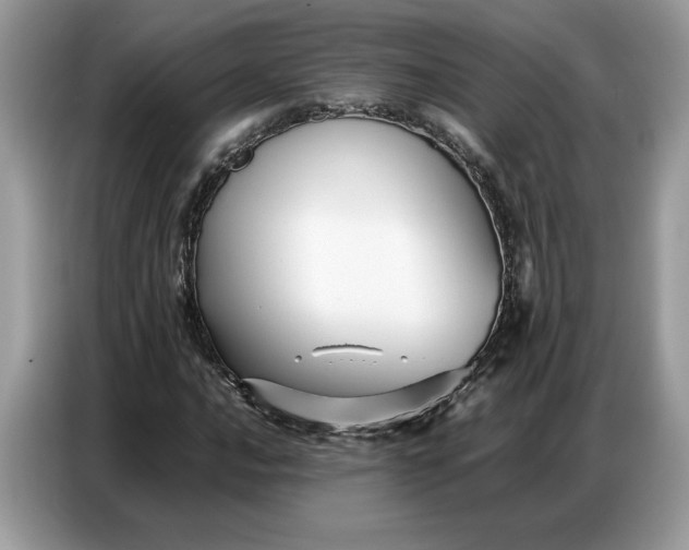 X0000086741016200704271646