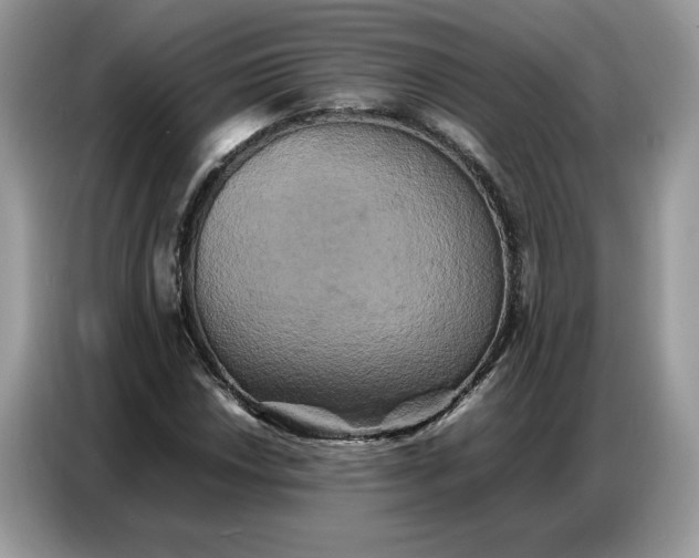 X0000086741018200704271646