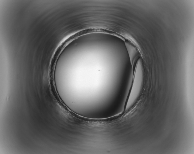 X0000086741020200704271646