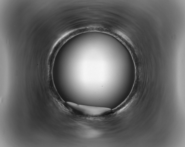 X0000086741021200704271646