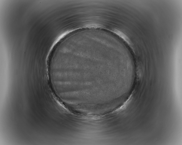 X0000086741022200704271646