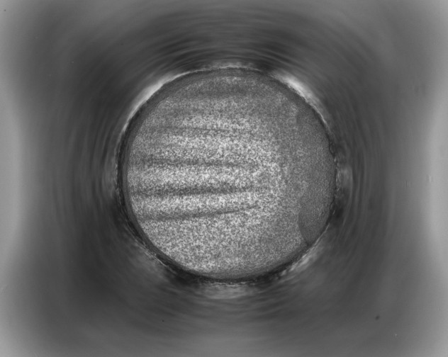 X0000086741023200704271646