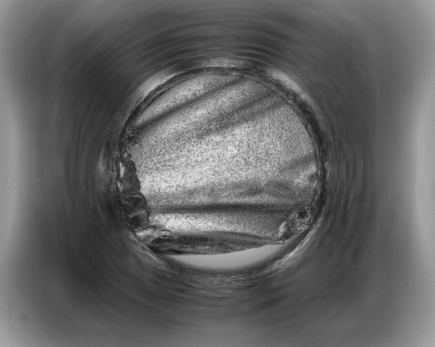 X0000086741025200704271646