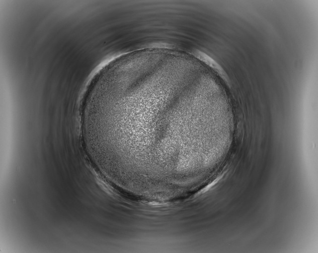 X0000086741027200704271646