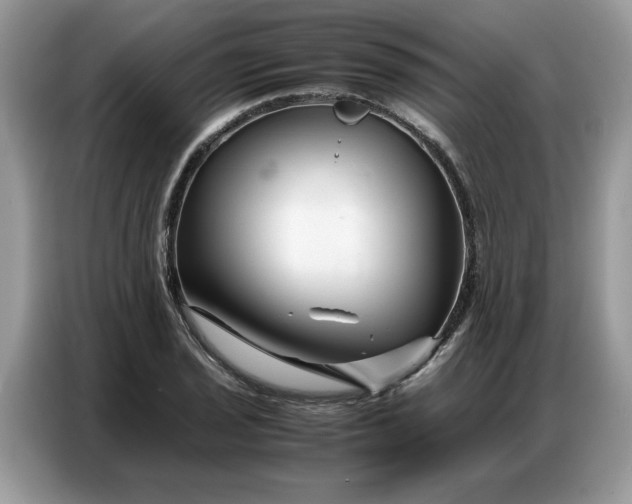 X0000086741029200704271646