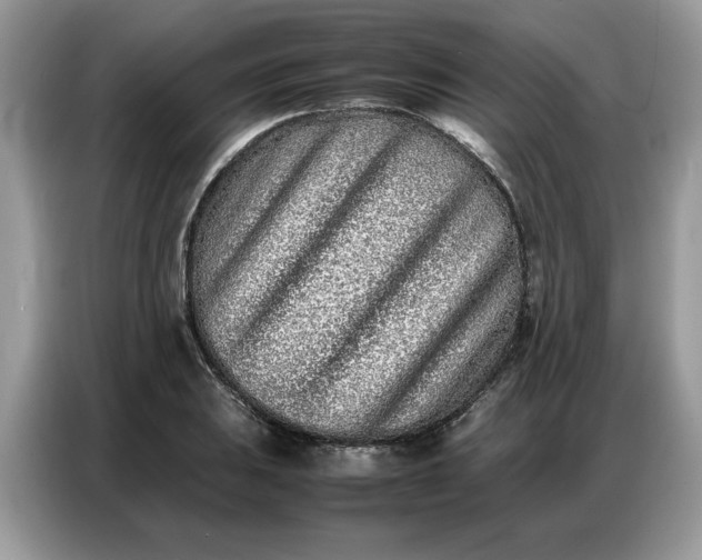 X0000086741031200704271646