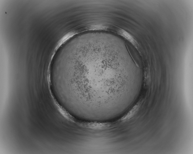 X0000086741034200704271646