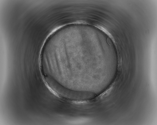 X0000086741037200704271646