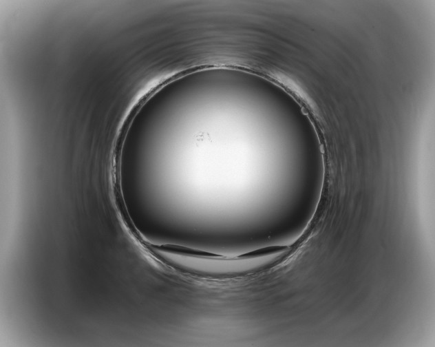 X0000086741040200704271646