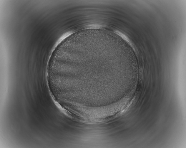 X0000086741042200704271646