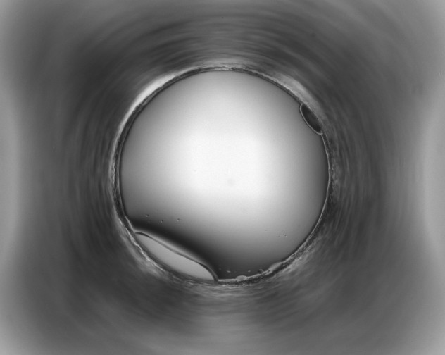 X0000086741044200704271646