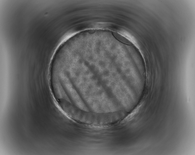 X0000086741045200704271646