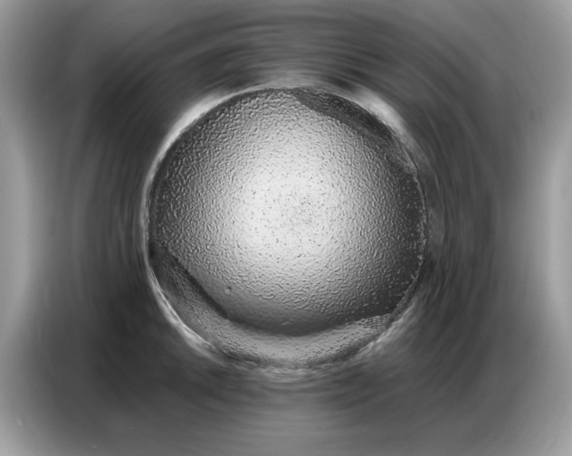 X0000086741046200704271646