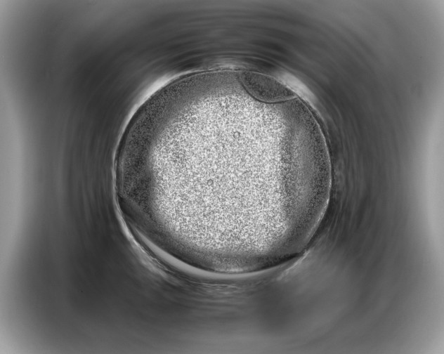 X0000086741047200704271646