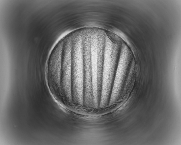 X0000086741048200704271646