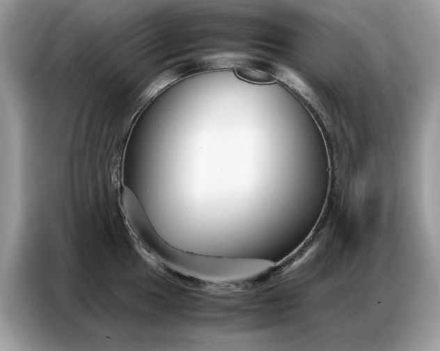 X0000086741049200704271646