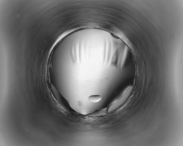 X0000086741052200704271646